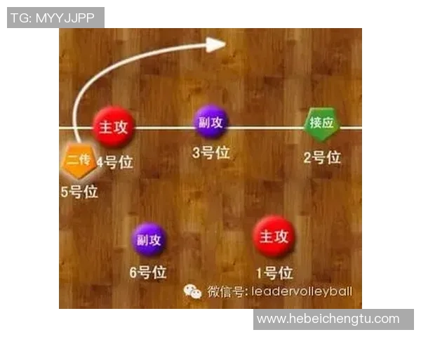 南京排球队快攻战术深度解析与实践应用探讨 南京排球队快攻战术深度解析与实践应用探讨