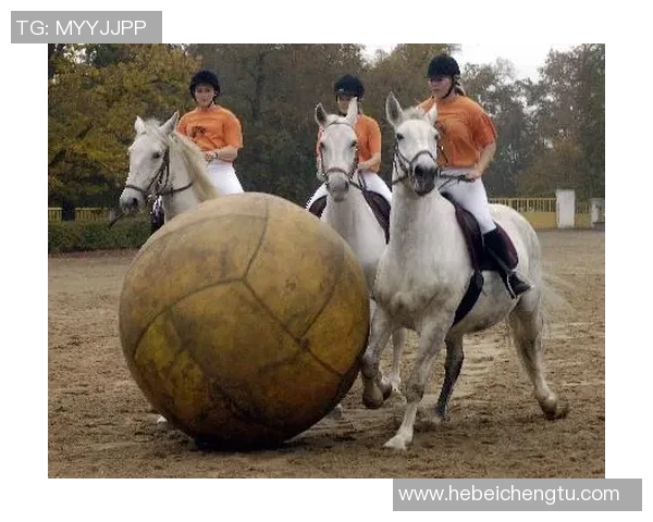 杨敏独家分享羽毛球技巧与心得助你提升竞技水平与乐趣 杨敏独家分享羽毛球技巧与心得助你提升竞技水平与乐趣