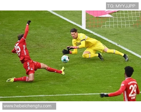 瑞士与喀麦隆足球明星的辉煌历程与精彩对决 瑞士与喀麦隆足球明星的辉煌历程与精彩对决