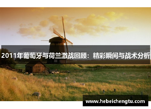 2011年葡萄牙与荷兰激战回顾：精彩瞬间与战术分析