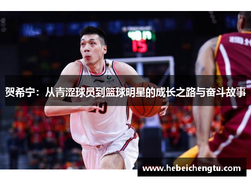 贺希宁：从青涩球员到篮球明星的成长之路与奋斗故事